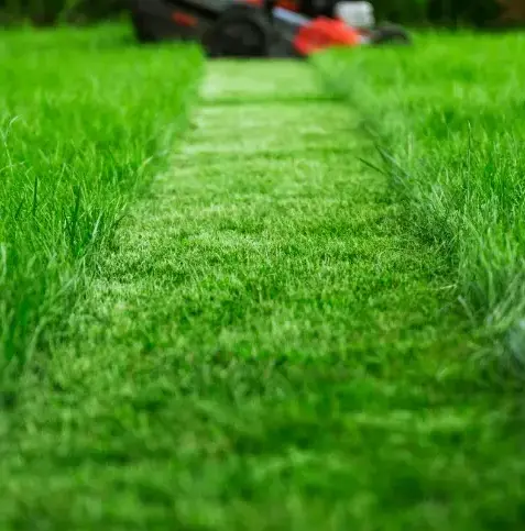 aménagement jardin à Authon-du-Perche - image 3