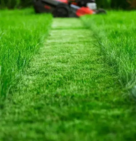 aménagement jardin à Bellême - image 3