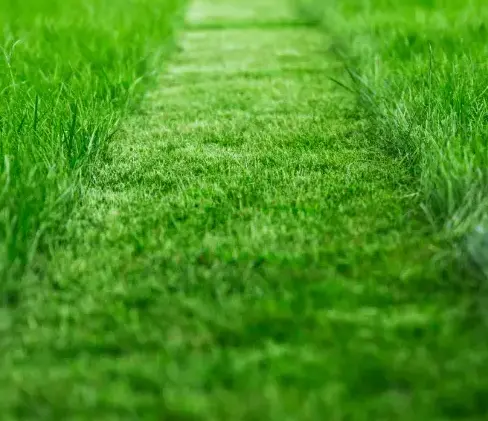 aménagement jardin à Ceton - image 2