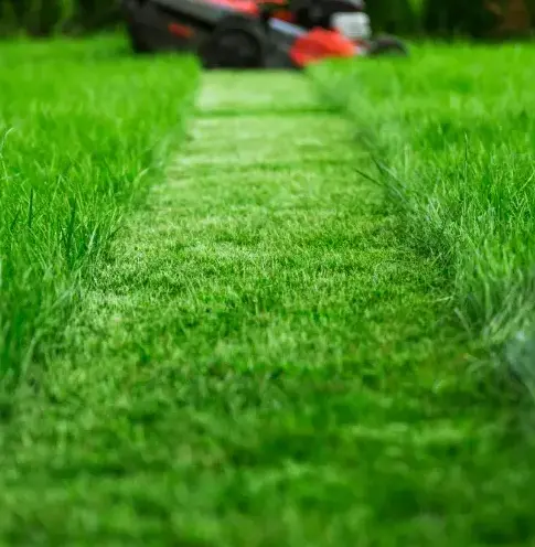 aménagement jardin à Cherré-Au - image 4