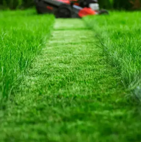 aménagement jardin Lamnay-5