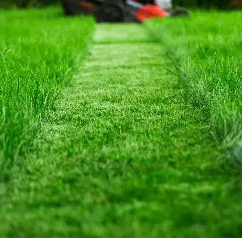 aménagement jardin Montmirail-1