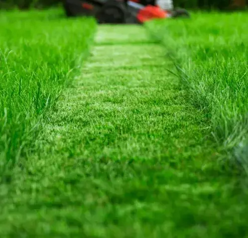 aménagement jardin à Nogent-le-Rotrou - image 4