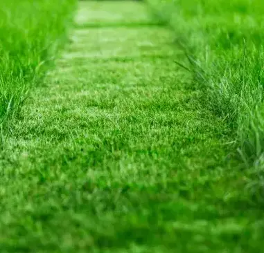 aménagement jardin à Val-au-Perche - image 4