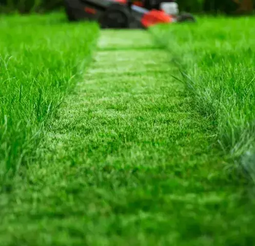 débroussaillage à Authon-du-Perche - image 3