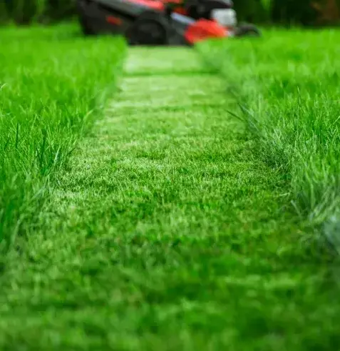 débroussaillage à Ceton - image 2