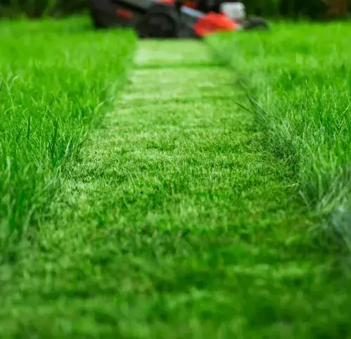 débroussaillage Cherré-Au-1