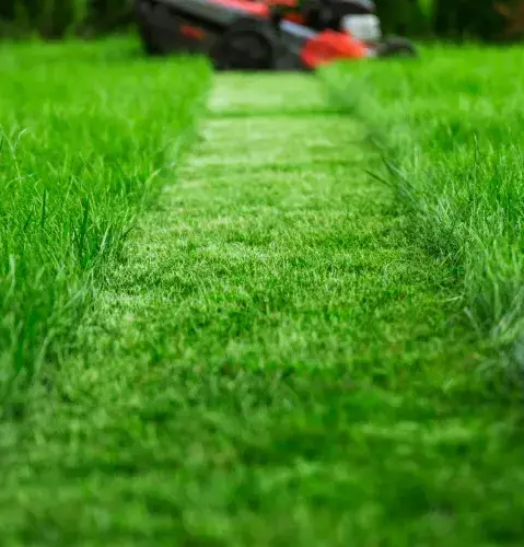 débroussaillage La Ferté-Bernard-5