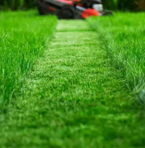 débroussaillage à Lamnay - image 4