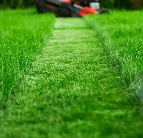 débroussaillage à Montmirail - image 3