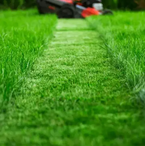 débroussaillage Nogent-le-Rotrou-1