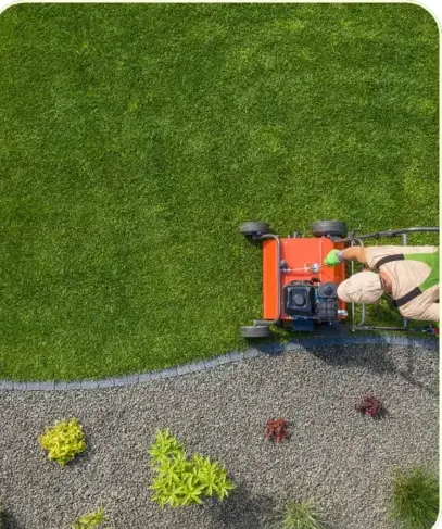 débroussaillage à Nogent-le-Rotrou - image 3