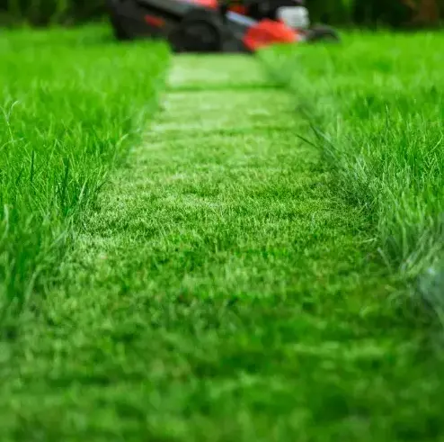 débroussaillage à Val-au-Perche - image 4