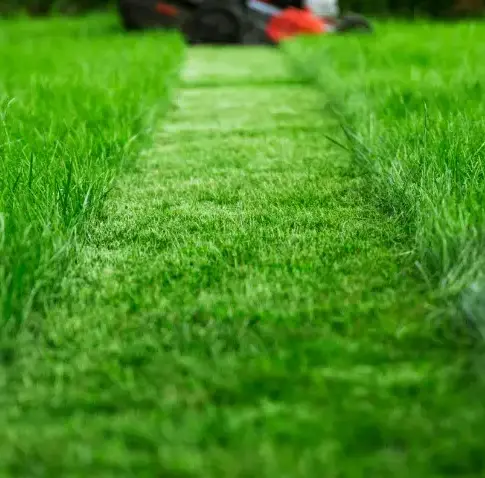 désherbage Cherré-Au-5