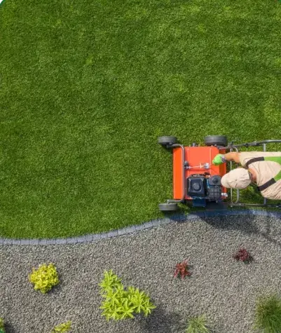 désherbage à Nogent-le-Rotrou - image 3