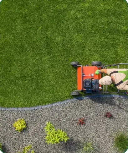 élagage à Authon-du-Perche - image 2