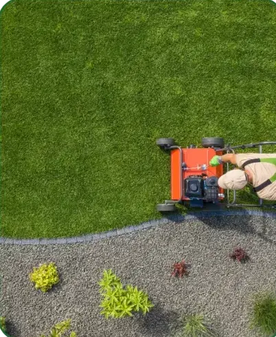 élagage à Bellême - image 4