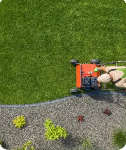 élagage à Cherré-Au - image 4