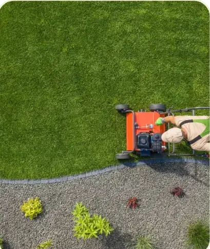 élagage à Montmirail - image 3