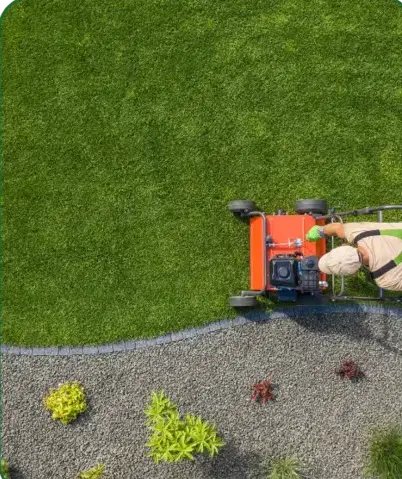 élagage Nogent-le-Rotrou-1