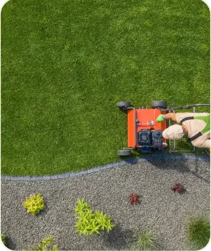 élagage à Nogent-le-Rotrou - image 2