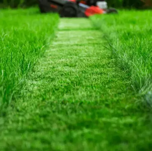 élagage Nogent-le-Rotrou-5