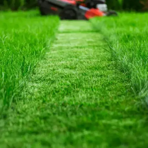 entretien jardinage Authon-du-Perche-1