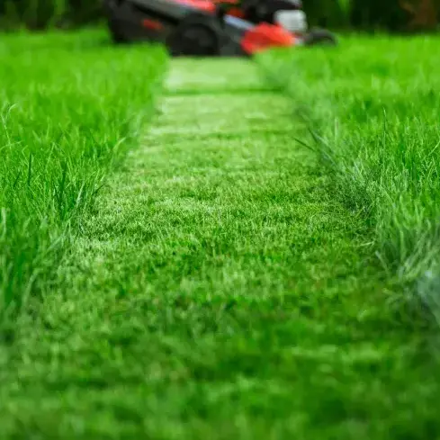 entretien jardinage Cherré-Au-5