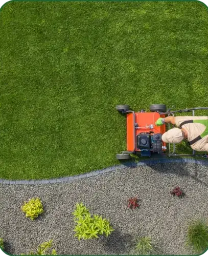 entretien jardinage à La Ferté-Bernard - image 3