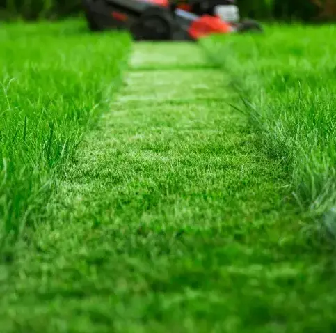 entretien jardinage Nogent-le-Rotrou-1