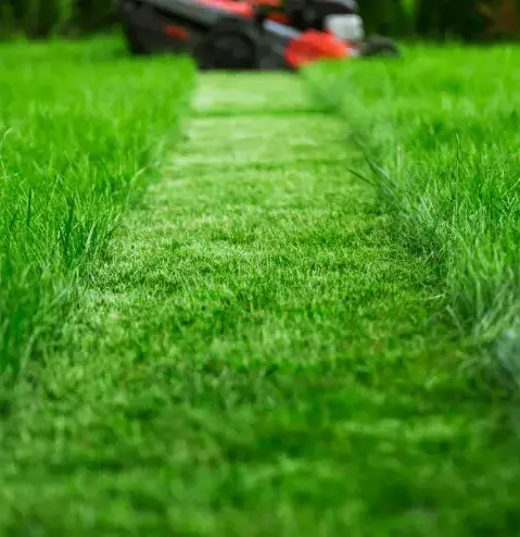 entretien jardinage à Val-au-Perche - image 4