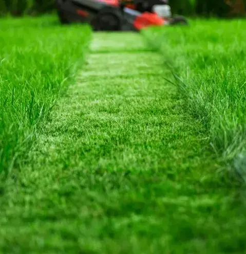 jardinier à Bellême - image 2