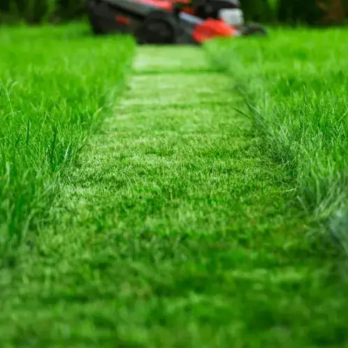 jardinier à Lamnay - image 4