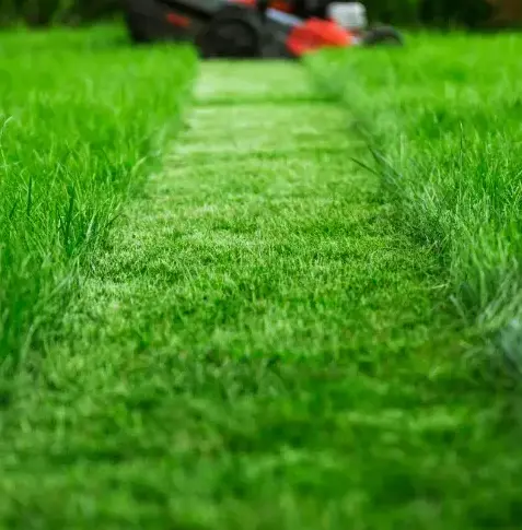 paysagiste à Authon-du-Perche - image 4