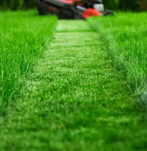 paysagiste à Lamnay - image 4