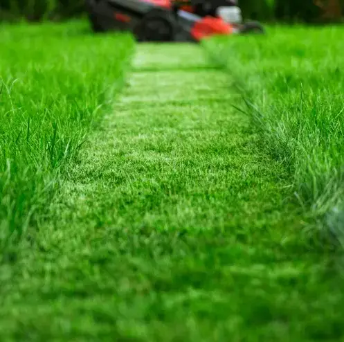 paysagiste à Montmirail - image 4